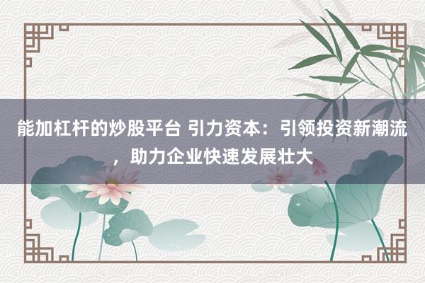 能加杠杆的炒股平台 引力资本：引领投资新潮流，助力企业快速发展壮大