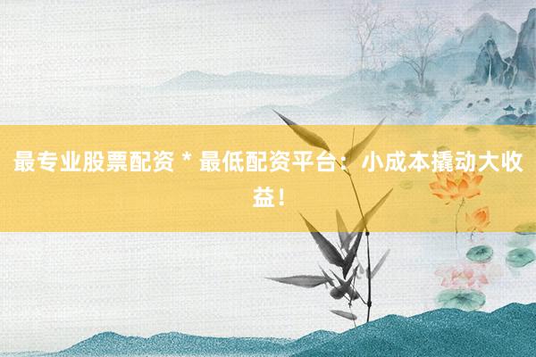 最专业股票配资 * 最低配资平台：小成本撬动大收益！