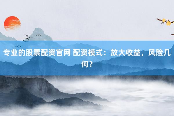 专业的股票配资官网 配资模式：放大收益，风险几何？