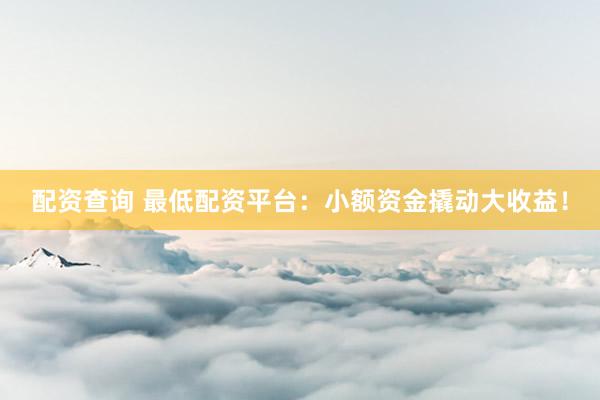 配资查询 最低配资平台：小额资金撬动大收益！