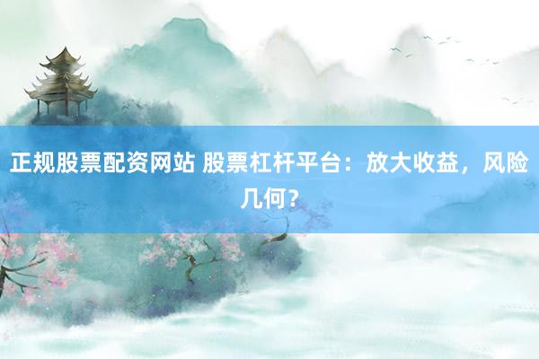 正规股票配资网站 股票杠杆平台：放大收益，风险几何？