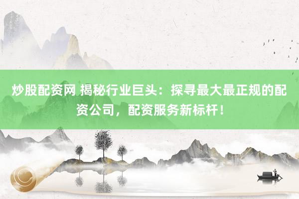 炒股配资网 揭秘行业巨头：探寻最大最正规的配资公司，配资服务新标杆！