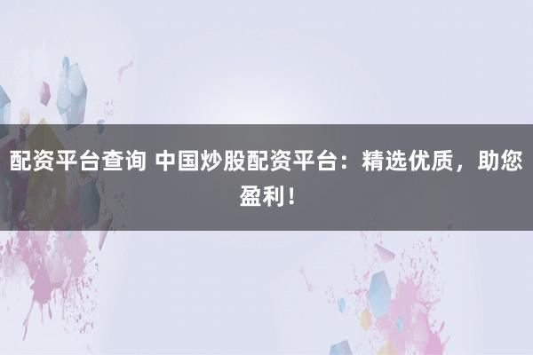 配资平台查询 中国炒股配资平台：精选优质，助您盈利！