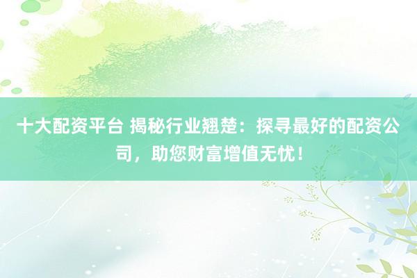 十大配资平台 揭秘行业翘楚：探寻最好的配资公司，助您财富增值无忧！