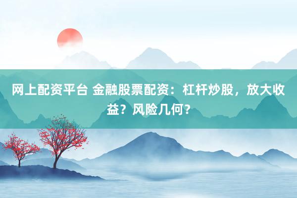 网上配资平台 金融股票配资：杠杆炒股，放大收益？风险几何？