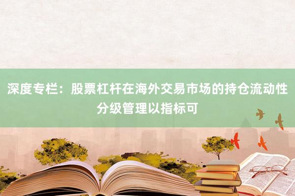 深度专栏：股票杠杆在海外交易市场的持仓流动性分级管理以指标可