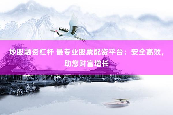 炒股融资杠杆 最专业股票配资平台：安全高效，助您财富增长