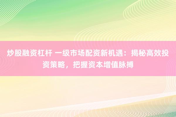 炒股融资杠杆 一级市场配资新机遇：揭秘高效投资策略，把握资本增值脉搏