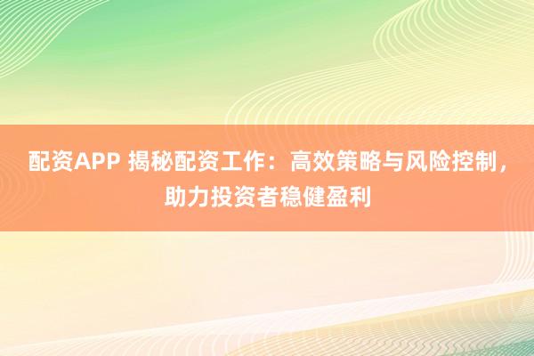 配资APP 揭秘配资工作：高效策略与风险控制，助力投资者稳健盈利