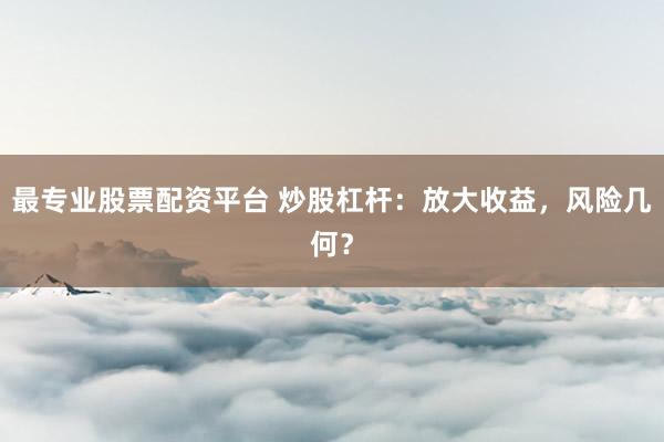 最专业股票配资平台 炒股杠杆：放大收益，风险几何？